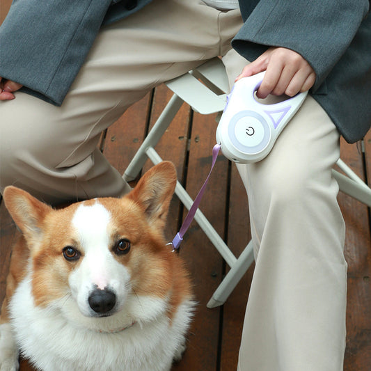 Retractable Dog Leash with LED Light β Automatic Pet Traction Rope & Spotlight Collar