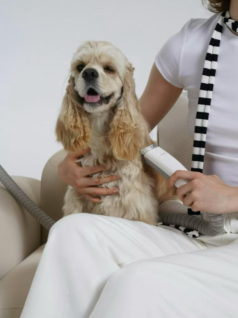 Grooming & Care for Pets