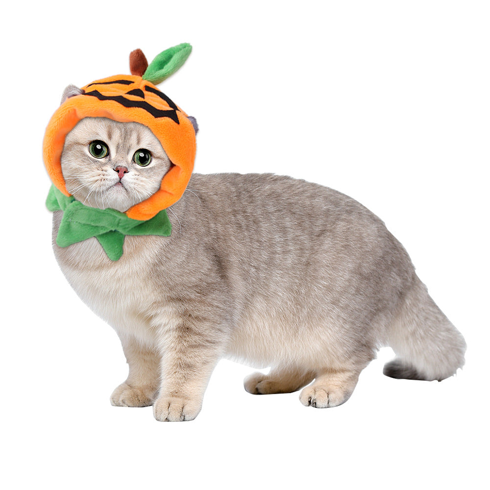 Funny Curly Hair Pet Hat for Cats & Dogs | Cute Wig Costume for Pets