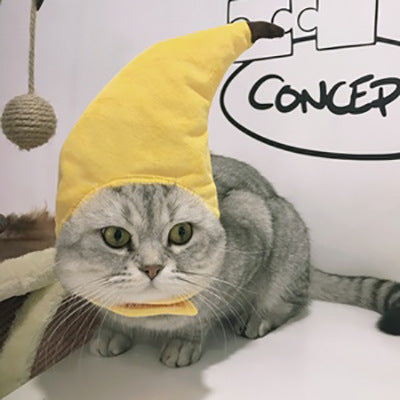 Funny Curly Hair Pet Hat for Cats & Dogs | Cute Wig Costume for Pets