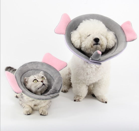 Flower Pet Recovery Collar – Soft Protective Cone for Dogs & Cats