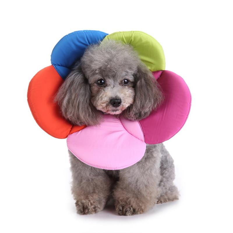 Flower Pet Recovery Collar – Soft Protective Cone for Dogs & Cats