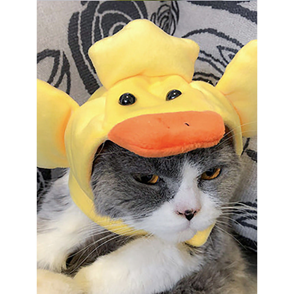 Funny Curly Hair Pet Hat for Cats & Dogs | Cute Wig Costume for Pets