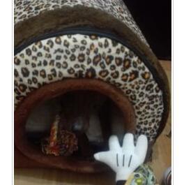 Tunnel Pet House – 2-in-1 Cat Tunnel Bed & Cozy Pet Play House