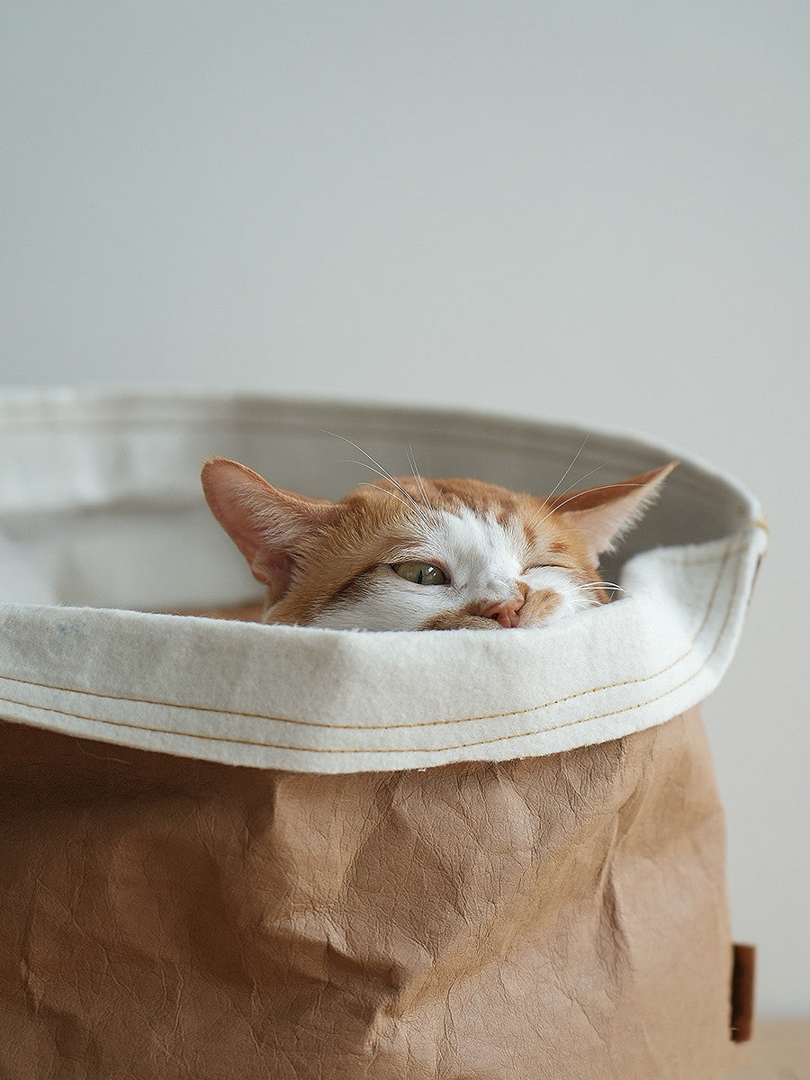 Washed Kraft Paper Pet Nest – Eco-Friendly Foldable Cat & Dog Bed Bag