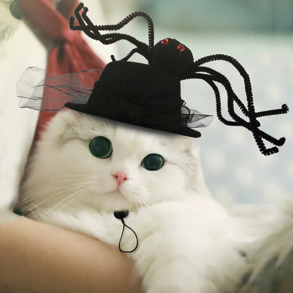 Funny Curly Hair Pet Hat for Cats & Dogs | Cute Wig Costume for Pets
