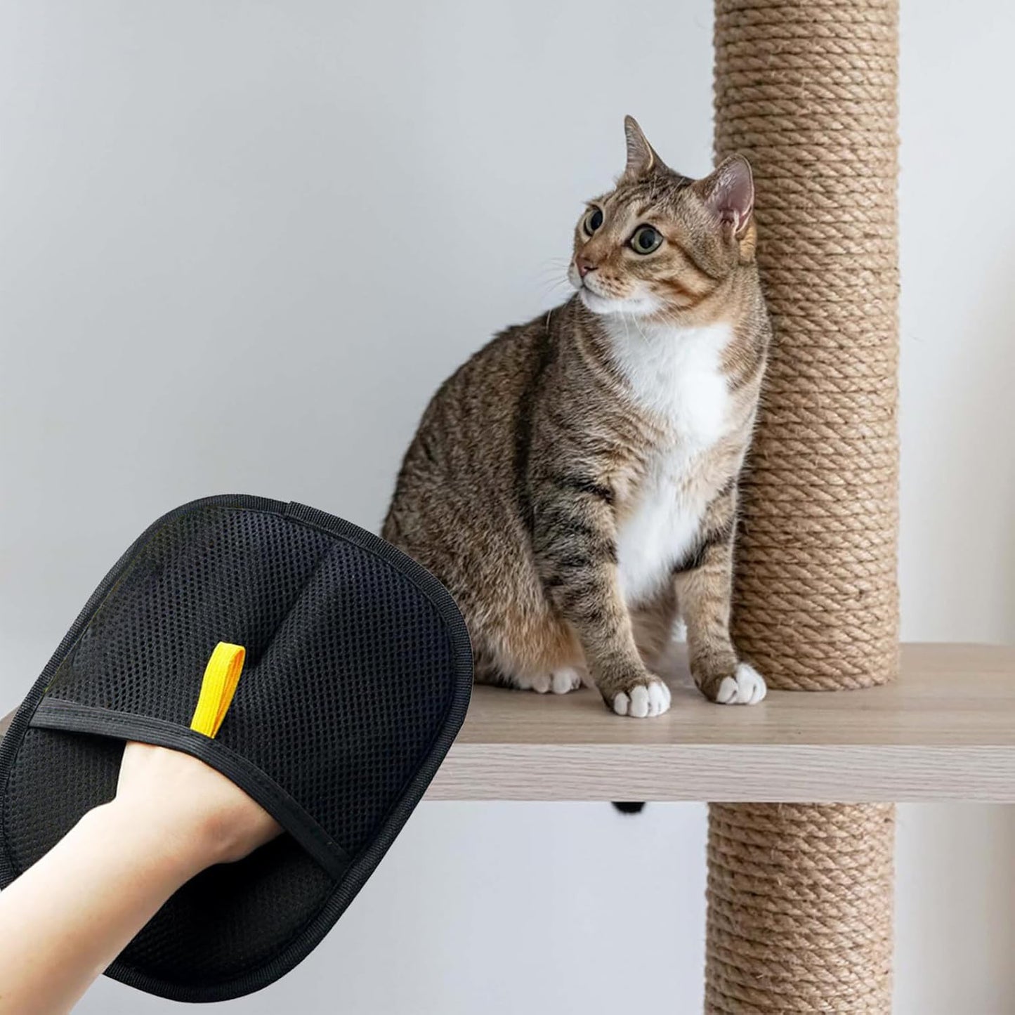 Pet Hair Removal Glove – Reusable Electrostatic Fur Remover for Cats & Dogs | Furniture, Clothes & Carpet Cleaner