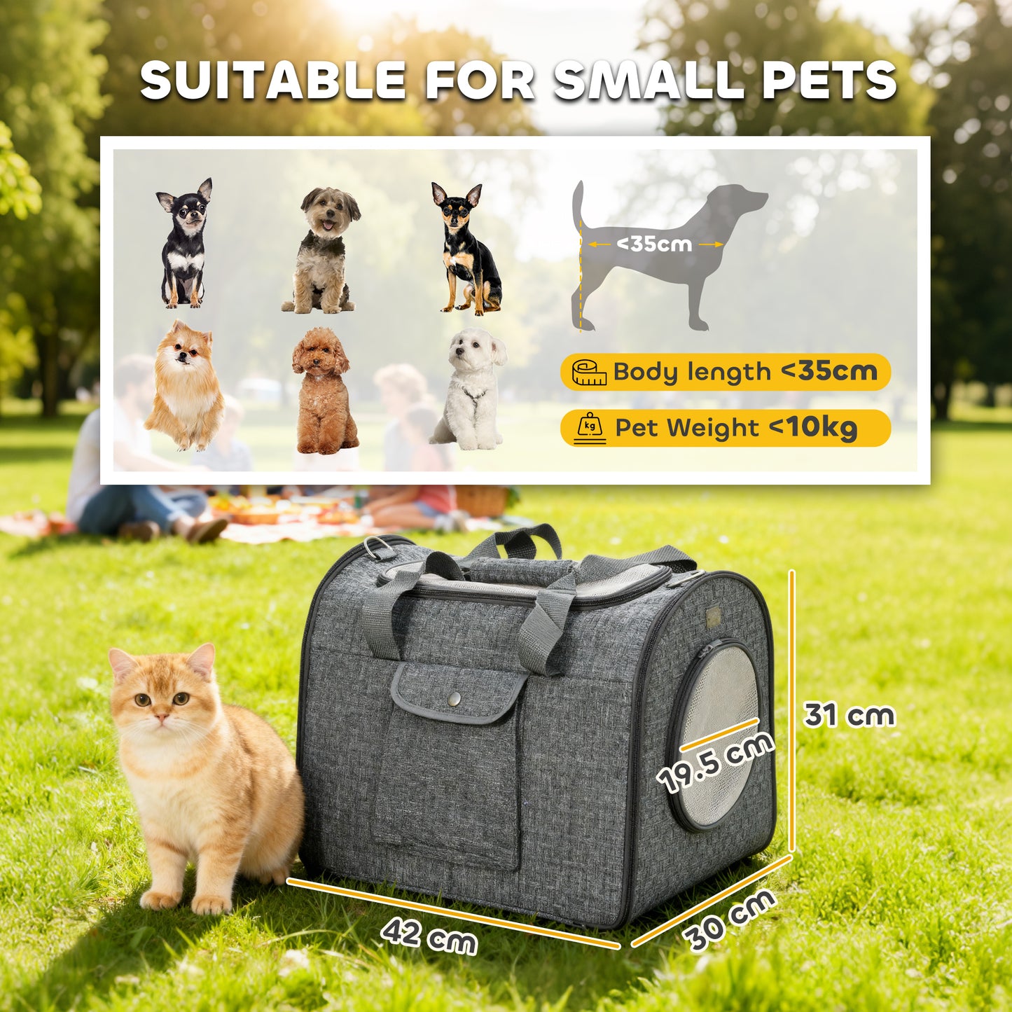 Portable Foldable Cat Carrier Bag with Shoulder Strap & Soft Cushion (Up to 10kg Pets)
