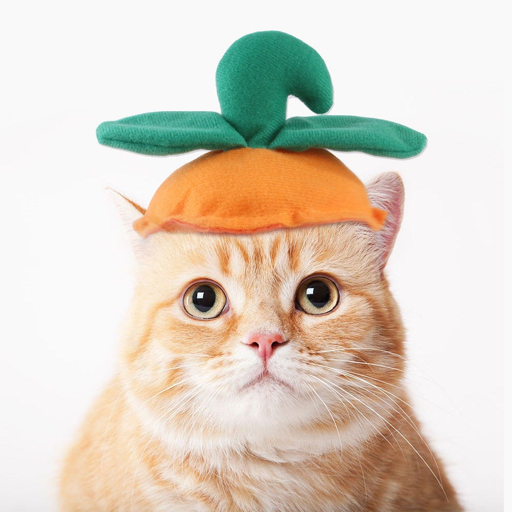 Funny Curly Hair Pet Hat for Cats & Dogs | Cute Wig Costume for Pets