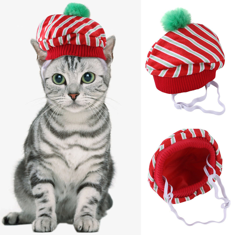 Funny Curly Hair Pet Hat for Cats & Dogs | Cute Wig Costume for Pets