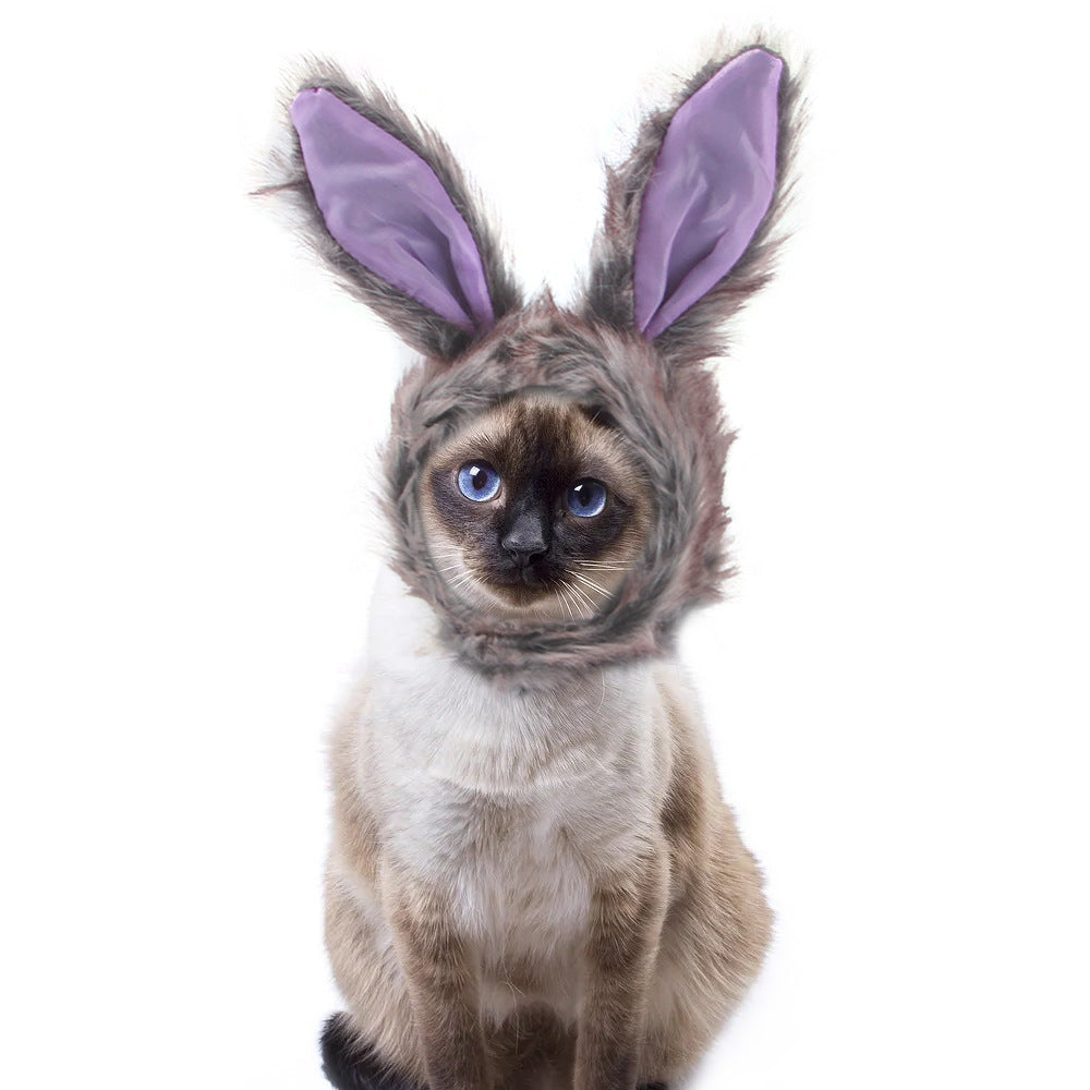 Funny Curly Hair Pet Hat for Cats & Dogs | Cute Wig Costume for Pets