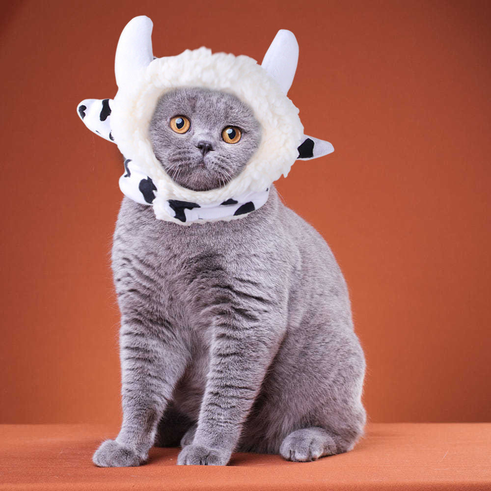 Funny Curly Hair Pet Hat for Cats & Dogs | Cute Wig Costume for Pets