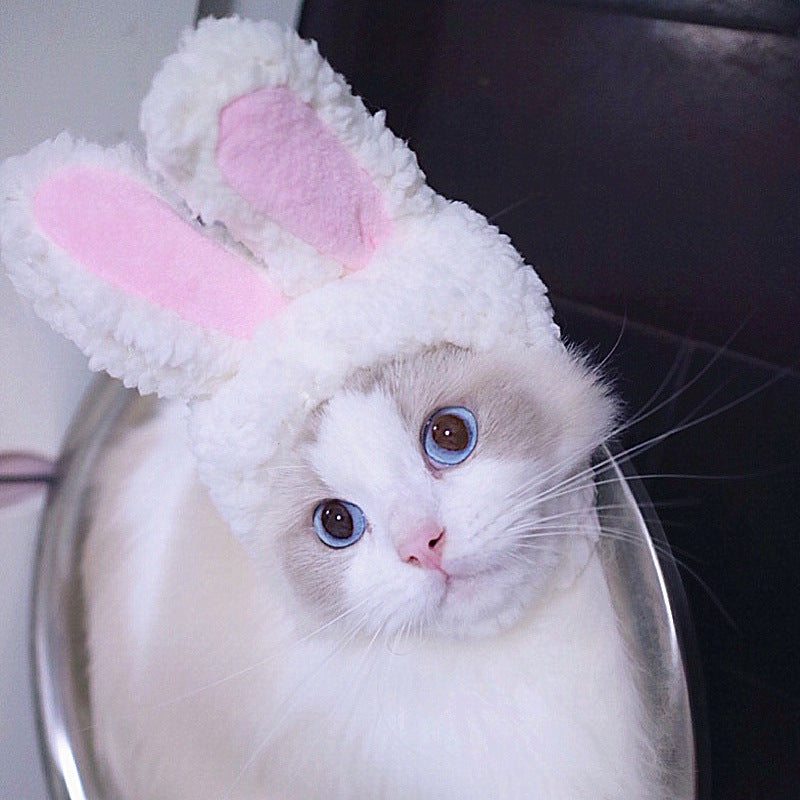 Funny Curly Hair Pet Hat for Cats & Dogs | Cute Wig Costume for Pets