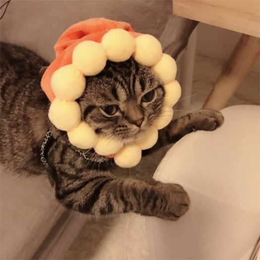 Funny Curly Hair Pet Hat for Cats & Dogs | Cute Wig Costume for Pets
