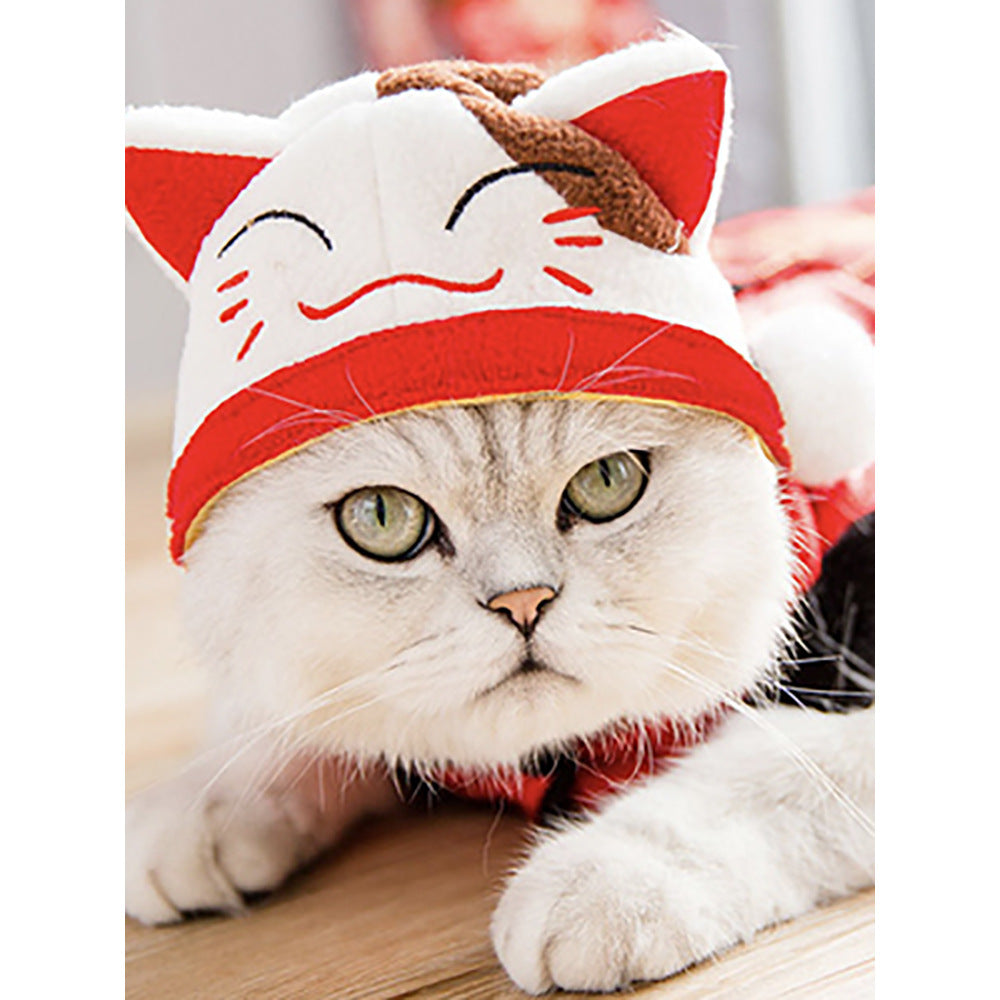 Funny Curly Hair Pet Hat for Cats & Dogs | Cute Wig Costume for Pets