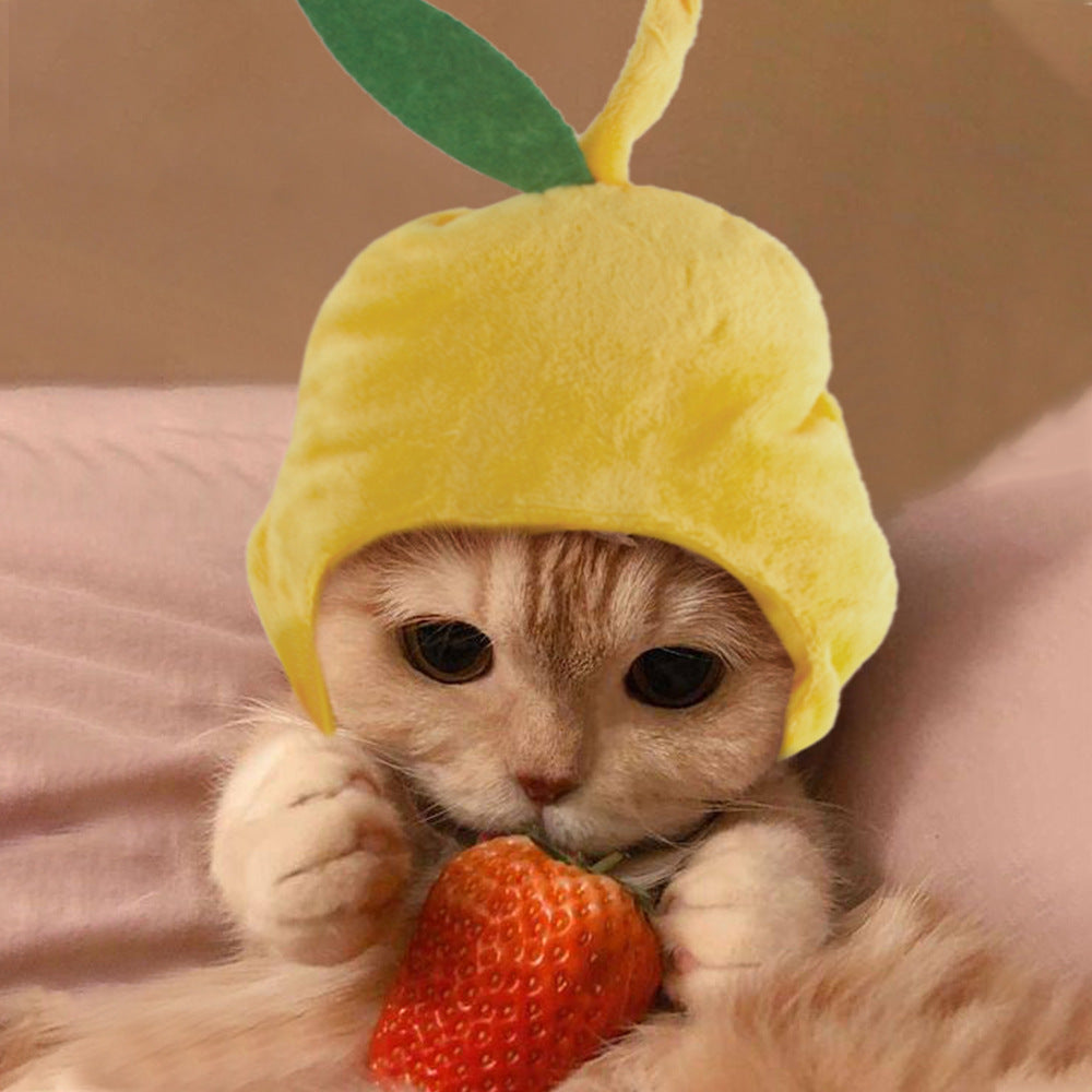 Funny Curly Hair Pet Hat for Cats & Dogs | Cute Wig Costume for Pets