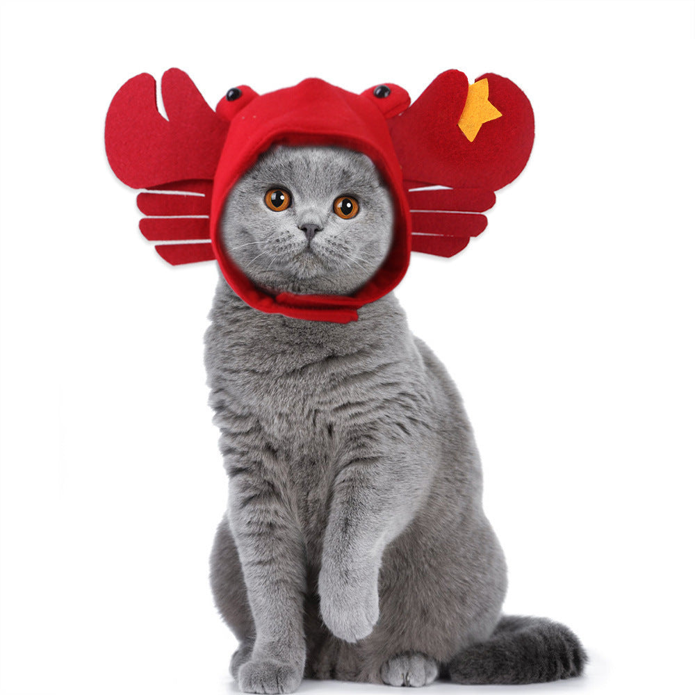 Funny Curly Hair Pet Hat for Cats & Dogs | Cute Wig Costume for Pets