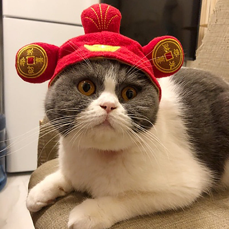 Funny Curly Hair Pet Hat for Cats & Dogs | Cute Wig Costume for Pets