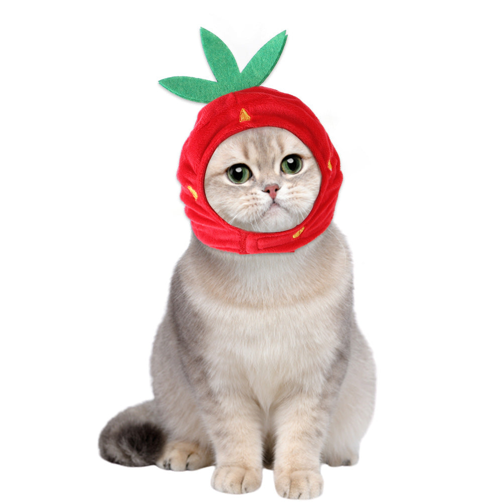 Funny Curly Hair Pet Hat for Cats & Dogs | Cute Wig Costume for Pets
