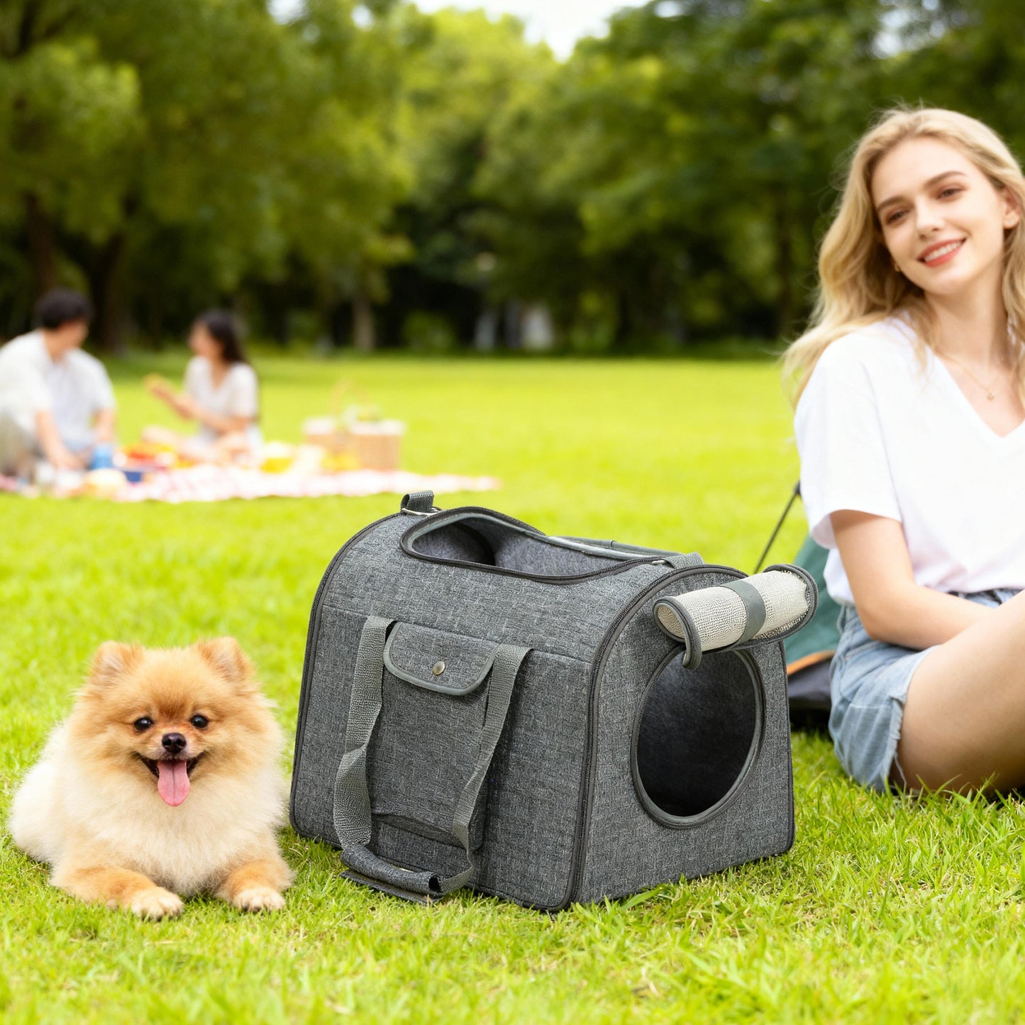 Portable Foldable Cat Carrier Bag with Shoulder Strap & Soft Cushion (Up to 10kg Pets)