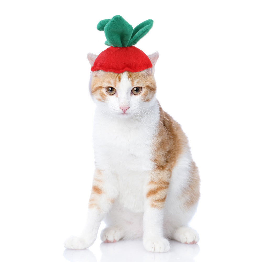 Funny Curly Hair Pet Hat for Cats & Dogs | Cute Wig Costume for Pets