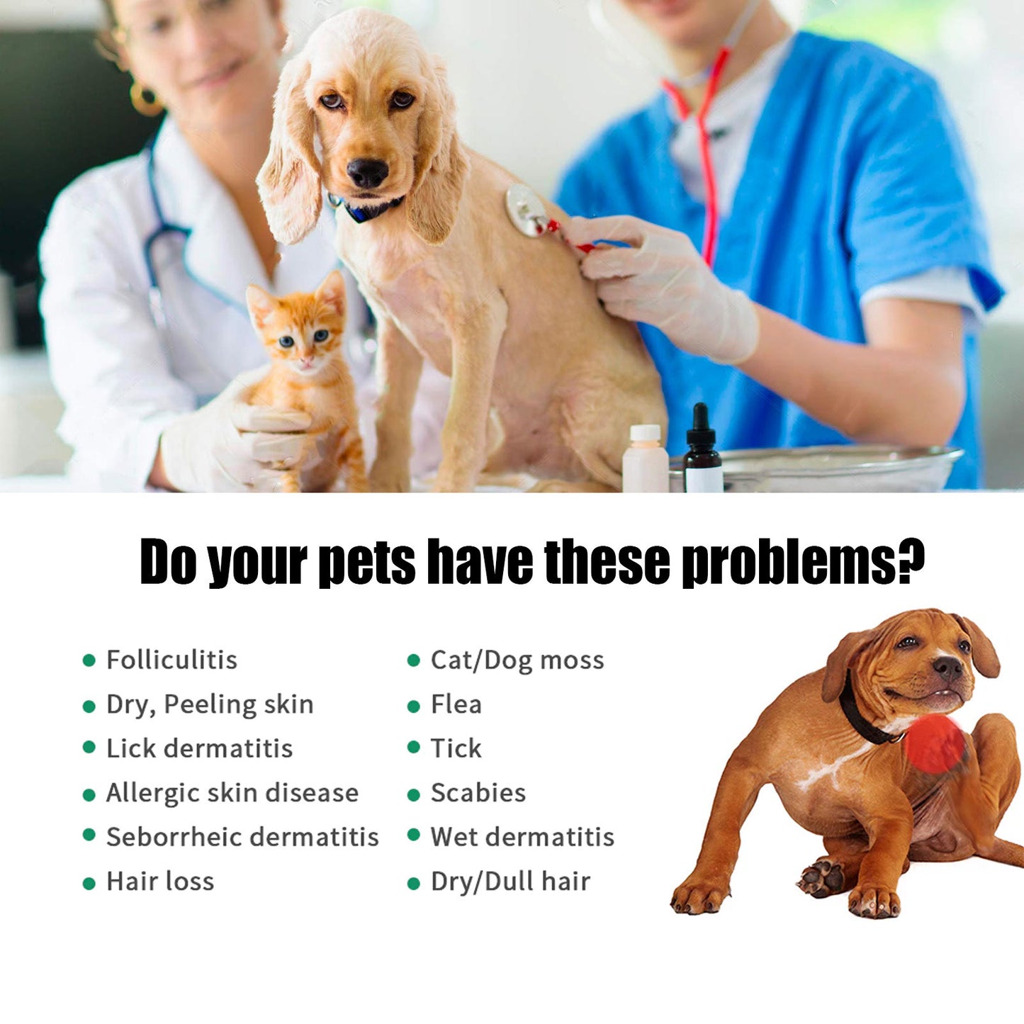 Pet Hair Care Anti-Itch Spray – Skin Relief & Soft Fur Care for Dogs & Cats