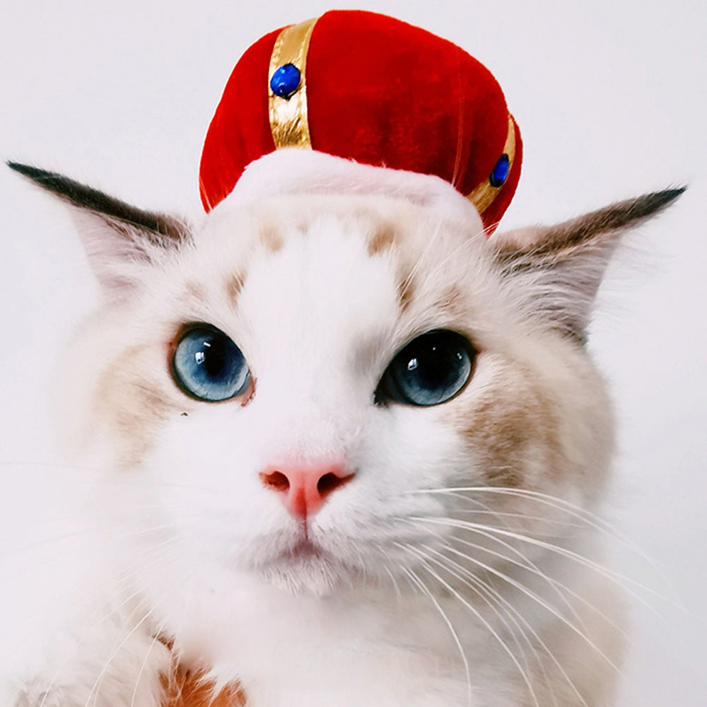 Funny Curly Hair Pet Hat for Cats & Dogs | Cute Wig Costume for Pets