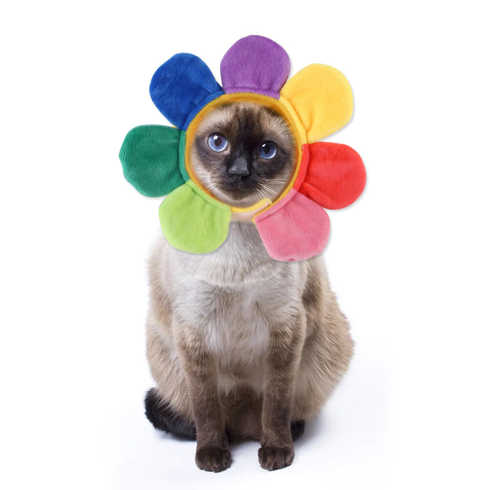 Funny Curly Hair Pet Hat for Cats & Dogs | Cute Wig Costume for Pets