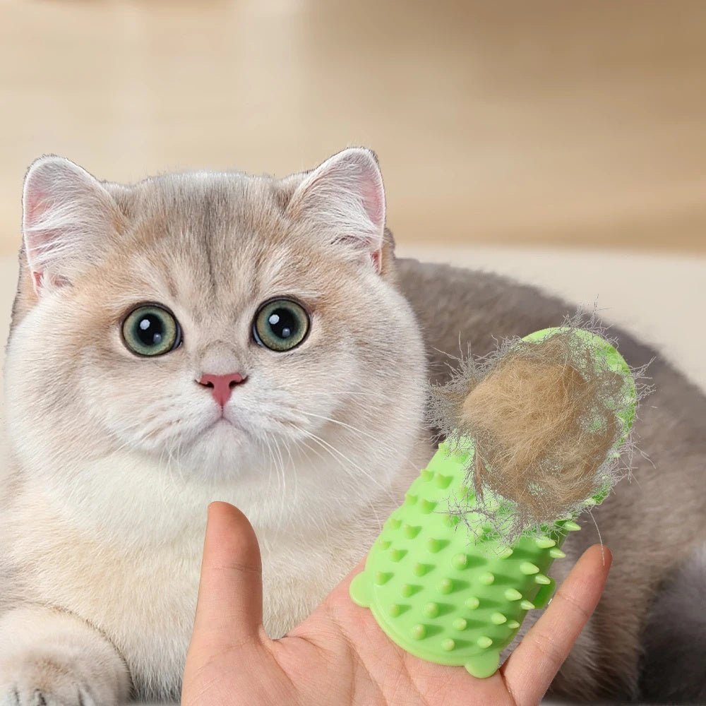 Cat Self Grooming Brush Wall Corner – Hair Removal Massage Scratcher Comb
